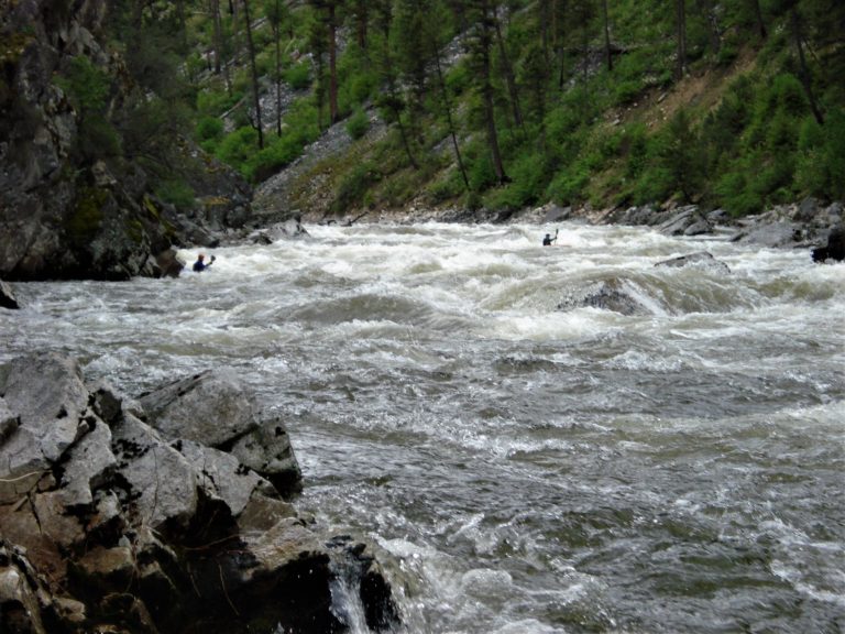 kayakers running whitewater on the South Fork of the Salmon River