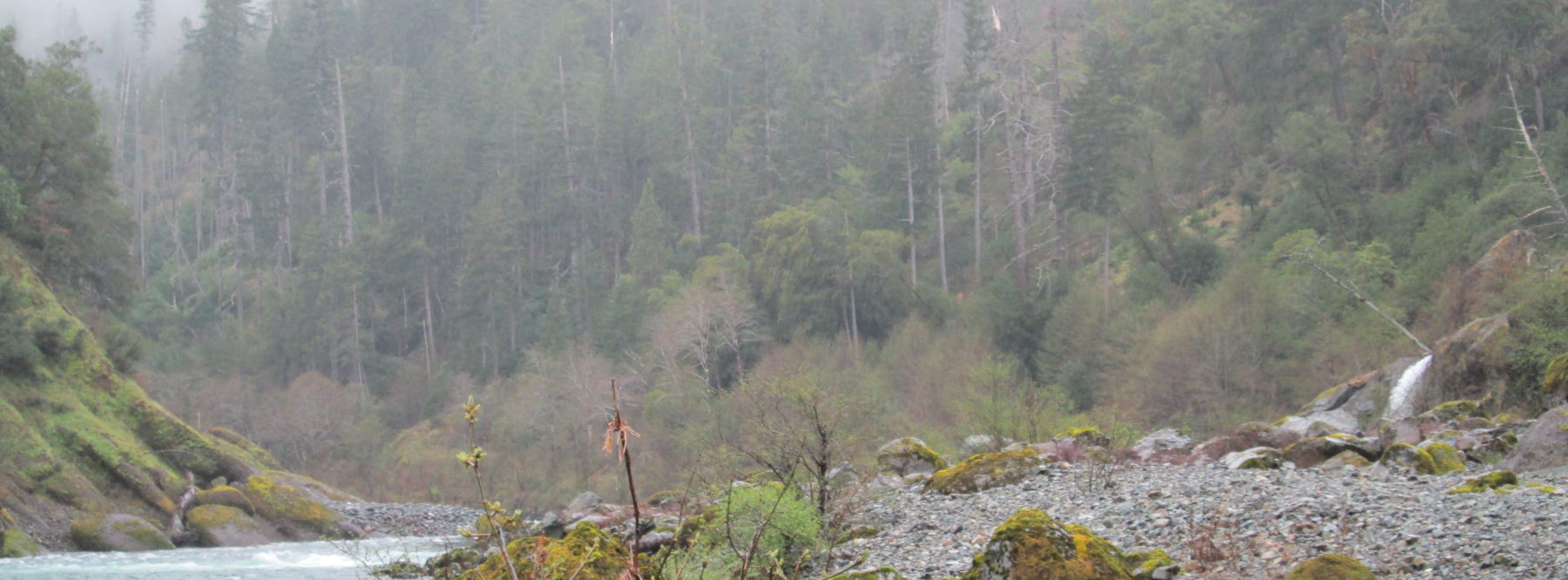 waterfall in background of Illinois River of Oregon