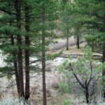 Put-in location at the confluence of Silver Creek and East Fork Carson