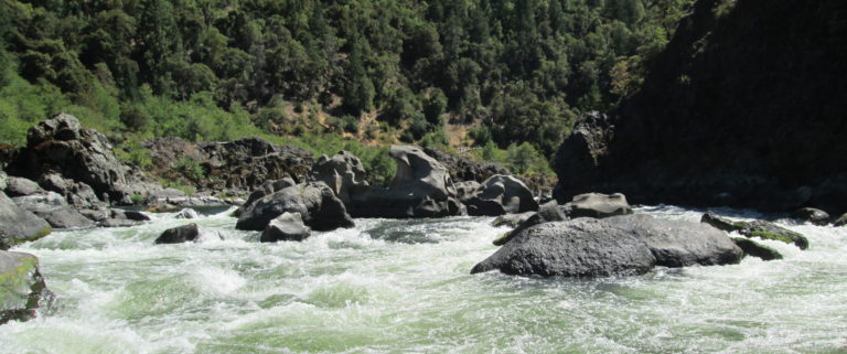 Looking upstream in Blossom Bar Rapid while rafting on the Rogue River.