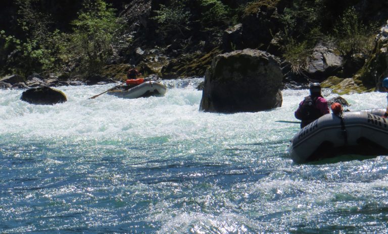 rocky top rapid at low water