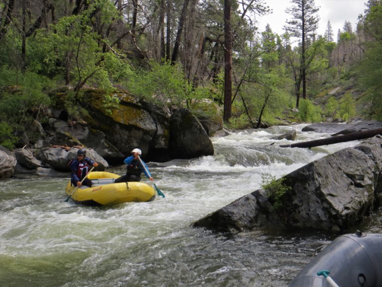 raft below rapid with log strainer