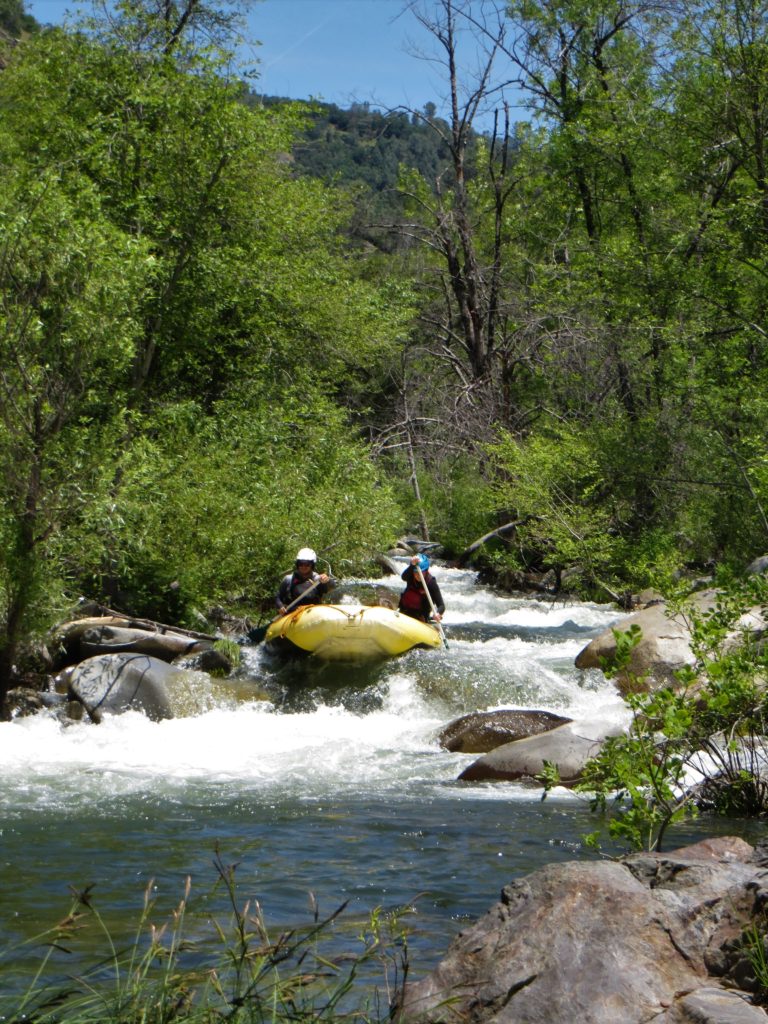 visual of brushy rapids of the North Fork Tuolumne