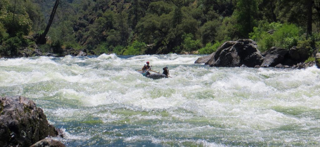 raft running Little Niagra rapid at highwater