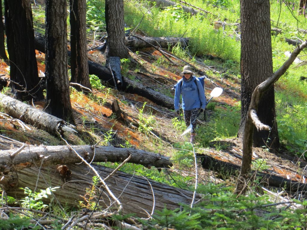 shows hiking trail to put-in on Moose Creek