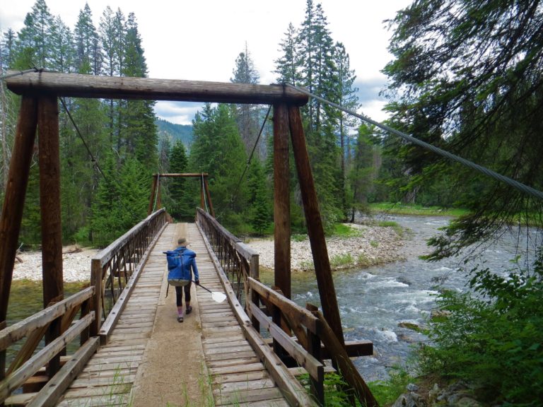 show the East Fork Moose Creek bridge