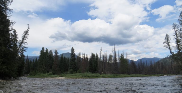 shows the confluence of the East Fork and North Forks of Moose Creek