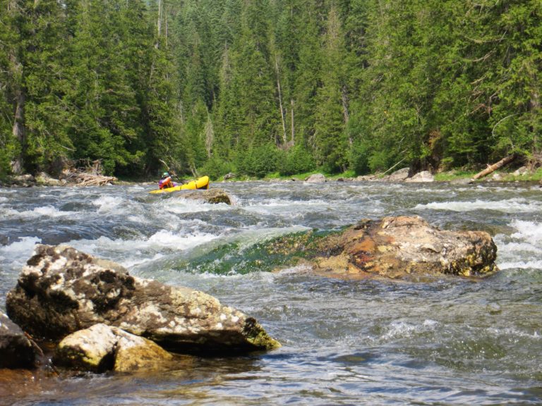 shows rapid on Moose Creek