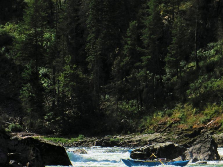upstream view of Wapoots whitewater rapid on the Selway River
