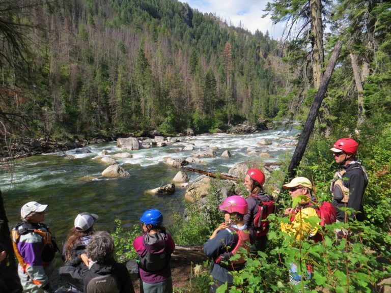 where to scout Ladle rapid