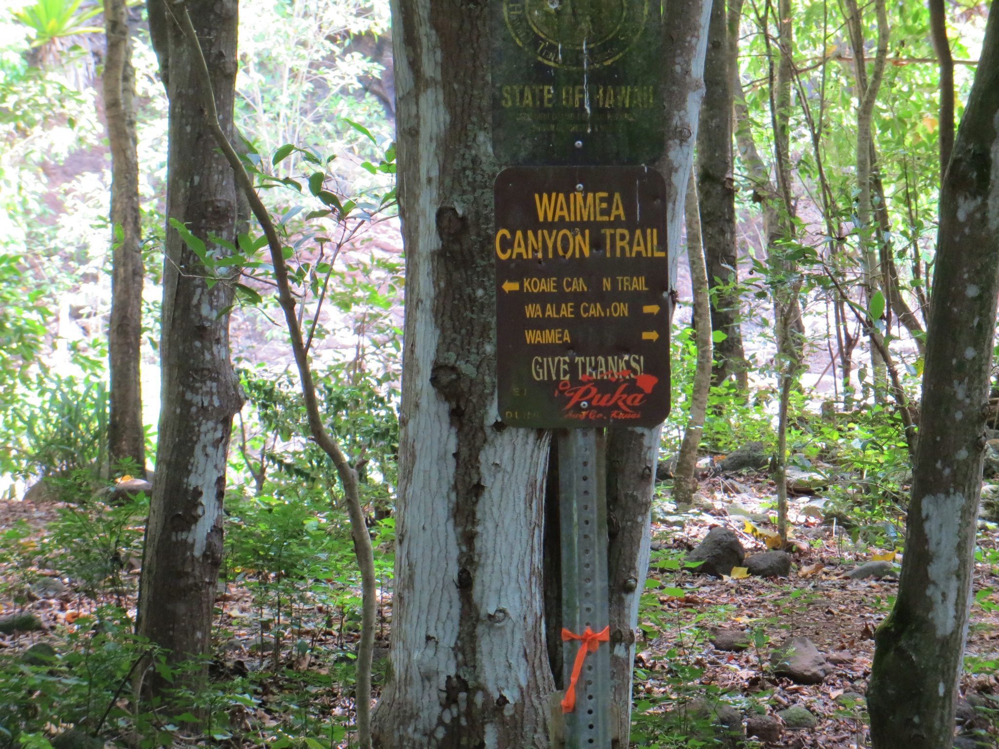 Waimea River Kauai Packrafting Best Rafting and Kayaking Expeditions