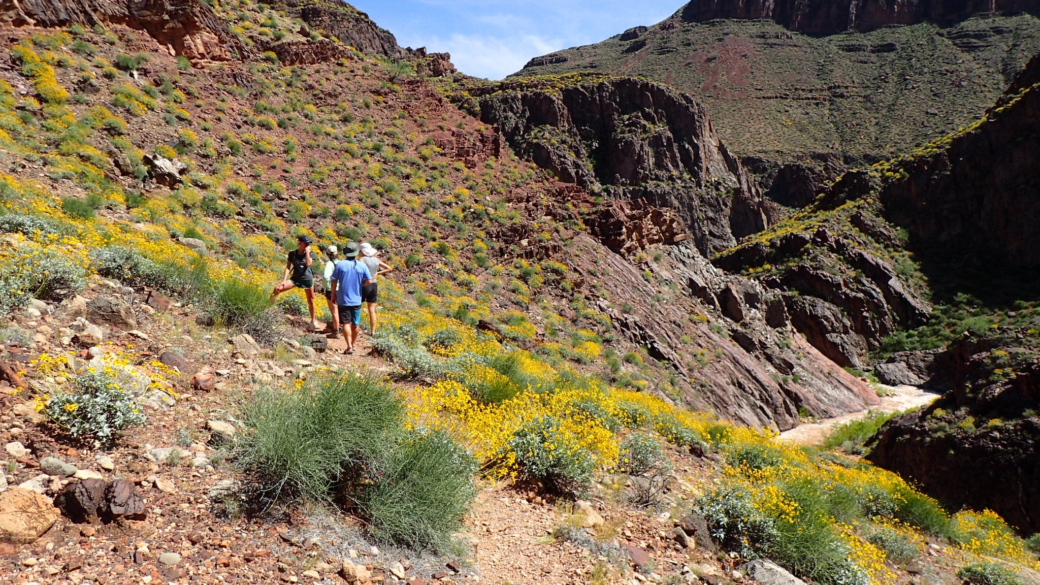 Best Whitewater Rafting Shoes and Sandals Best Rafting and Kayaking