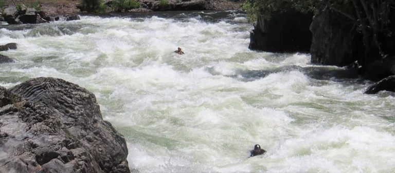 Read more about the article Best Practices for Swimming Whitewater Rapids