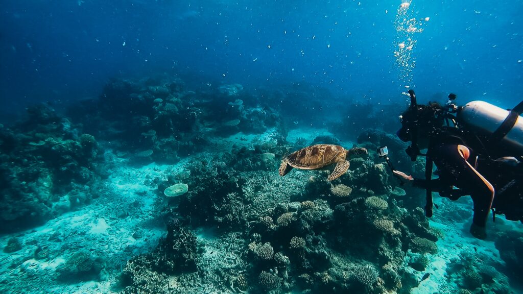 make reef safe homemade sunscreen