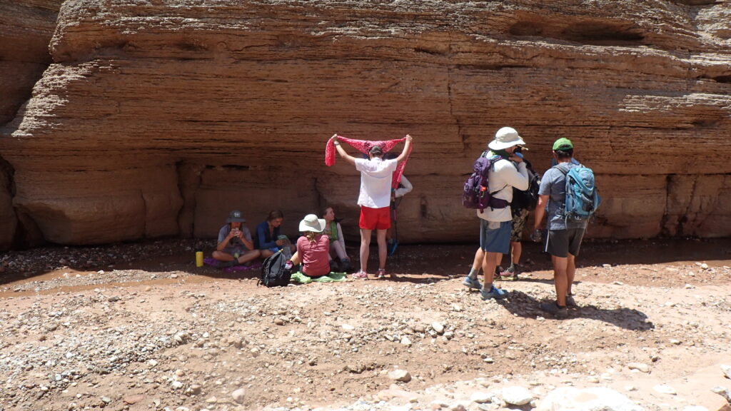 rafters protect themselves by sitting in shade