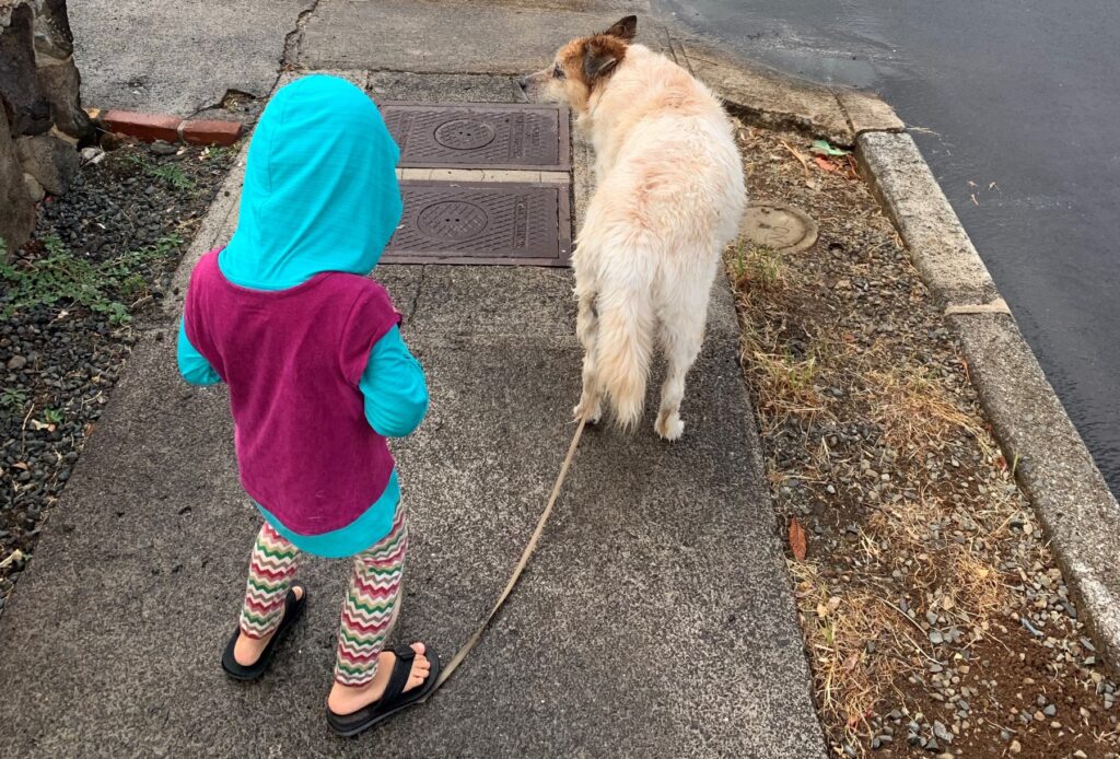 kid walking dog in sun hoodie
