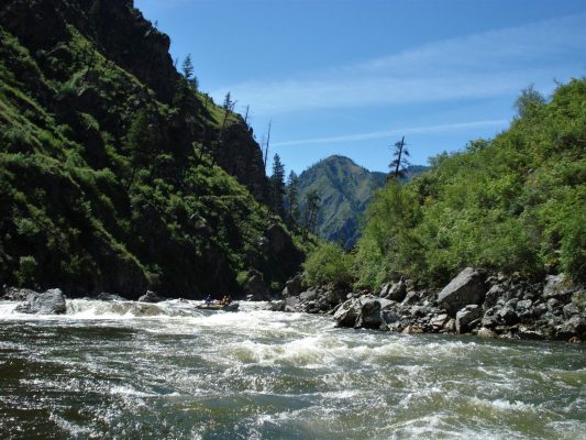 South Fork of the Salmon River Rafting and Kayaking in Fall Creek Rapid