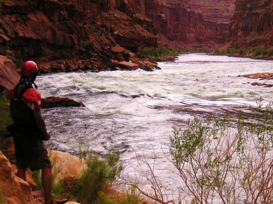 Grand Canyon Rafting - scouting Colorado River's House Rock Rapid