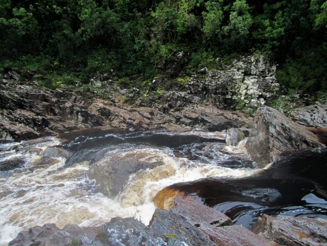 Whitewater at Nasty Notch on the Franklin River